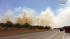 Viewer video of Bastrop fire ::