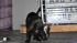 Ordinary housecats get trained to do...