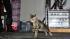 Ordinary housecats get trained to do...