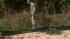 National Guard helps in search for missing baby ::