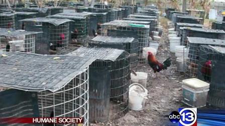 Authorities have shut down a suspected cockfighting breeding facility in Santa Fe using a new state law