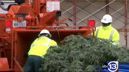 The City of Houston Solid Waste Management Department will embark on its 21st year of Christmas tree recycling.