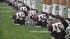 Images of fans, cheerleaders, players and the...