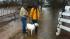 Animal rescue shelter flooded in Waller County ::