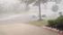 Viewer video from Seven Meadows ::