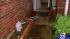 Flood waters invade homes in Richmond ::