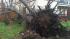Images of storm damage in Brenham