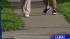 Students walking