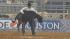 Image from the 2012 RodeoHouston at Reliant...