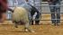 Image from the 2012 RodeoHouston at Reliant...