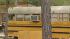 Two siblings, an 11-year-old girl and a...