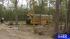 Two siblings, an 11-year-old girl and a...