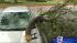 Piney Point area damaged by severe weather ::