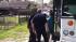 Alleged illegal immigrants taken into custody ::