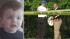 Search crews continue to search for boy ::