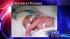 Photos of the  Perkins sextuplets