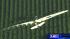 Fatal glider crash in Wallis under... :: Images of glider crash that killed three people in the Wallis area
