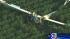 Images of glider crash that killed three people...