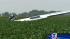Images of glider crash that killed three people...