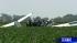 Images of glider crash that killed three people...