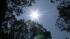 App helps people conserve energy ::
