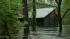 Debby continues to wreak havoc in FL ::