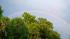 This rainbow photo was captured by ABC13 viewer...