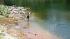 Search underway for missing child in Trinity... :: Courtesy: HCN