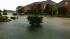 Flooding up to front yards in Cypress Creek... ::