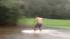 Viewer skimboarding in high water ::