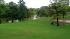 Buffalo Bayou high water near Tinsley Park ::