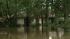 Watching the water along Cypress Creek ::