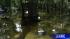 Flood victims begin cleanup process ::