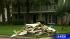 Residents begin assessing flood damage ::