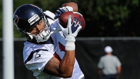 Houston Texans wide receiver DeVier Posey hauls in a catch during NFL football practice Thursday, June 14, 2012, in Houston. (AP Photo/Pat Sullivan)