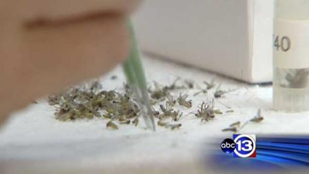 The city of Houston is tracking the number of West Nile Virus cases this year