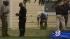 Probe into deadly College Station shooting... ::
