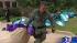 Neighbors shocked by major drug bust ::