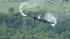 Harris Co. to launch aerial assault on West... ::