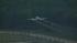 Harris County uses aerial spraying against... ::