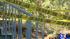 House quaratined over hantavirus fears ::