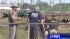 Helicopter crash witnesses sought ::