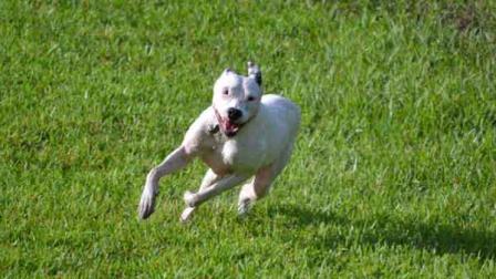 Chances journey to happily-ever-after has been a long and painful one, but hes enjoyed lots of love and some star-studded adventures
