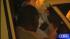 Man fatally shoots home invasion suspect ::