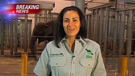 A senior elephant keeper Lucy Melo, was washing the 2-year-old male Asian elephant in a barn when it pinned her on Friday.