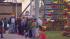 The high cost of Superstorm Sandy ::