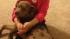 This is a photo of the missing dog belonging to...