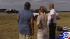 Survivors help one another after I-10 pileup ::