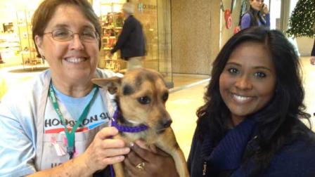 How about a new pet for the holidays? Plenty are available for adoption at the Galleria.