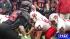 Houston area high school football highlights ::